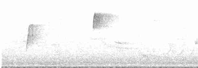 Acadian Flycatcher - ML440572741