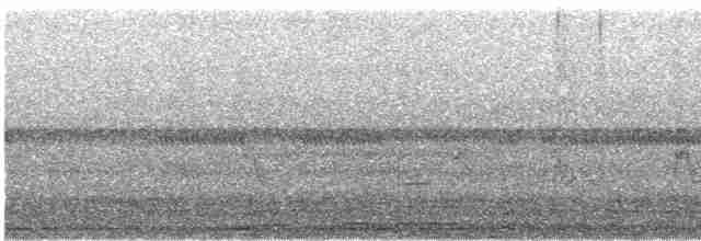 Striped Cuckoo - ML440693901