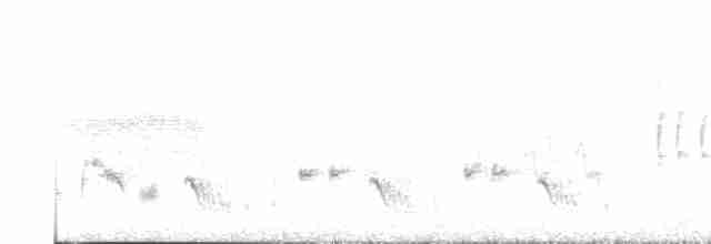 Eastern Orphean Warbler - ML440725801