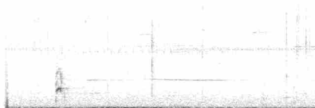 Spotless Crake - ML44073611