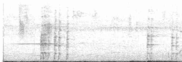 Spotless Crake - ML44073631