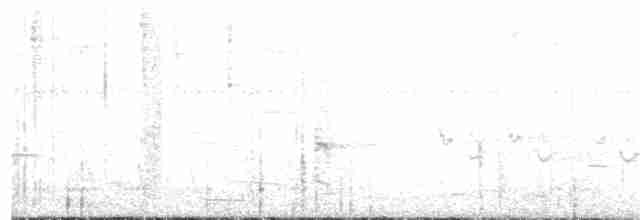 Spotless Crake - ML44073651