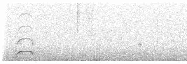 Бекасовидный хрустан - ML440851351