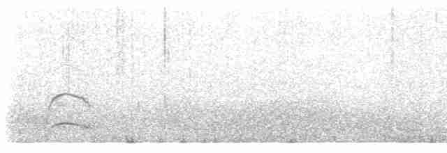 Бекасовидный хрустан - ML440851361