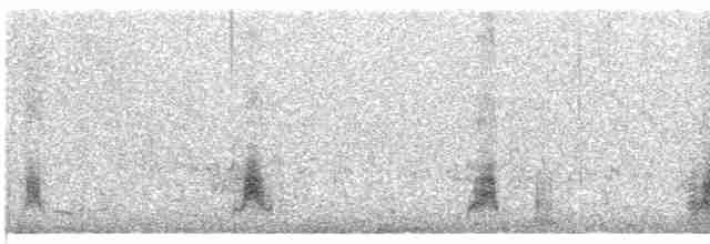 Крижень андійський - ML440851961
