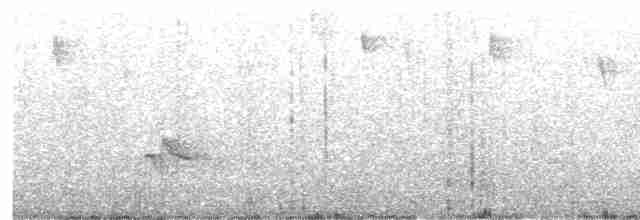 Sperlingsvogel, unbestimmt - ML440857481