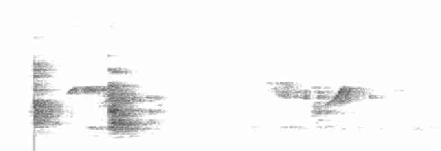 Горихвістка звичайна - ML440863301