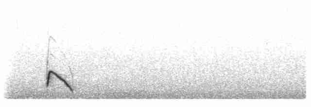 Бекасовидный хрустан - ML440916401