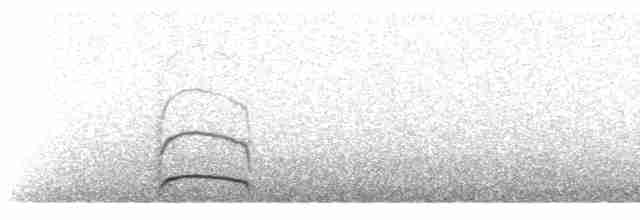 Бекасовидный хрустан - ML440916521