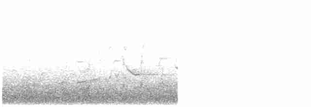 シロアゴムジアマツバメ - ML440935721