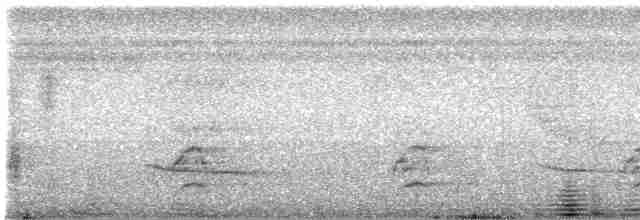 Kara Karınlı Sincap Guguğu - ML441002621