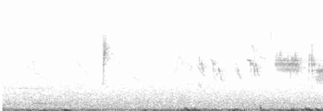 Bruant à couronne blanche (leucophrys/oriantha) - ML441059561