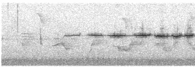 Prairie Warbler - ML441059571