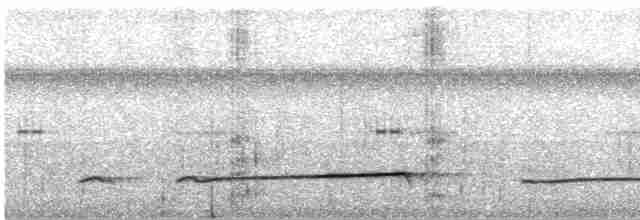 Лінивка-смугохвіст західна - ML441070031