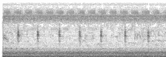 Серогрудый трескун - ML441097641
