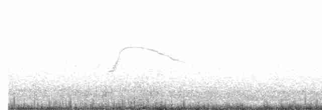 Tinamou de Taczanowski - ML441194741