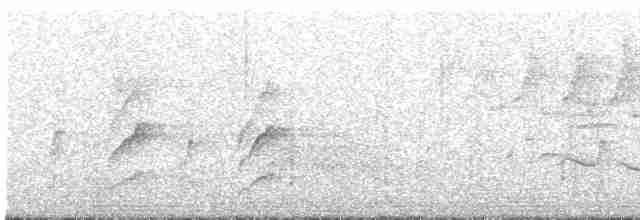Ak Karınlı Yerçavuşu - ML441292501