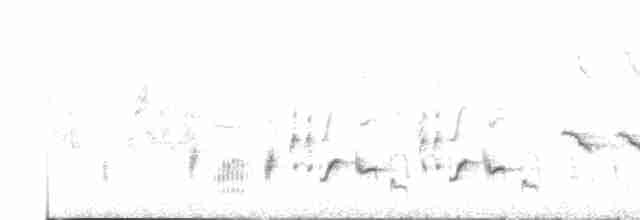 Eastern Orphean Warbler - ML441307521