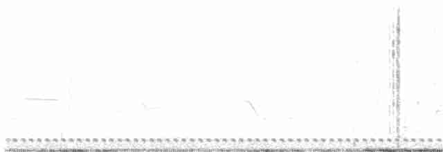 Texasnachtschwalbe - ML441336961