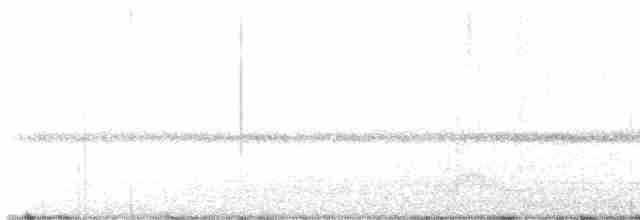 Pauraquenachtschwalbe - ML441404891