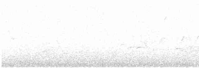 Дятел-смоктун жовточеревий - ML441410021