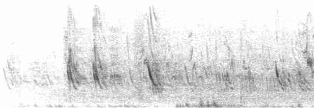 Щурик пурпуровий (підвид subis/arboricola) - ML441446331