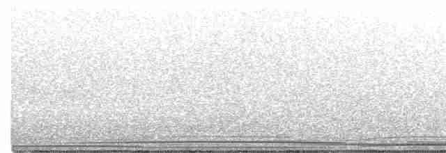Wedge-tailed Shearwater - ML441467341