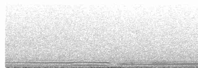 Wedge-tailed Shearwater - ML441467541