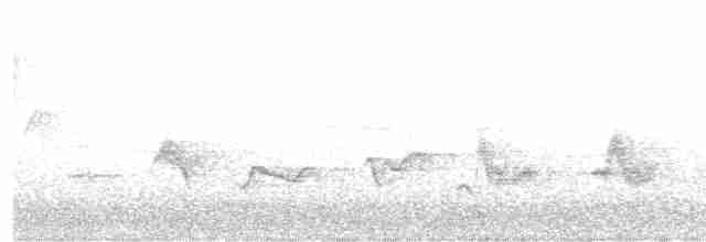 Чернокрылая пиранга - ML441528881