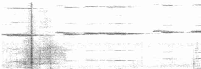 Рихтарик плямистий - ML44155691