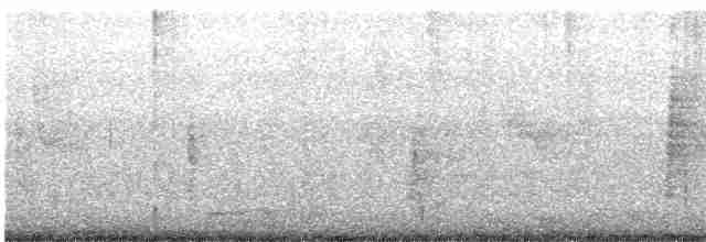 Bulbul de Blanford Oriental - ML441571511