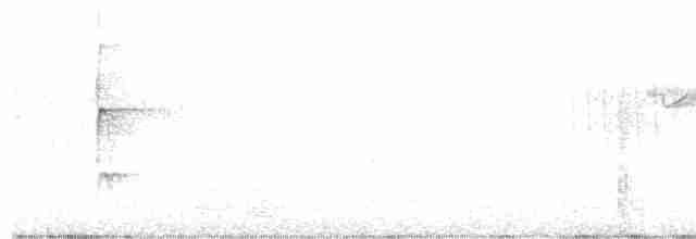 strakapoud hnědočelý - ML441615771