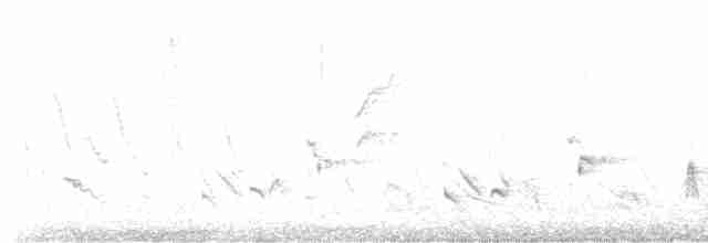 Длинноклювый пересмешник - ML441704361