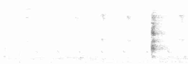 Пестроклювый арасари - ML44171521