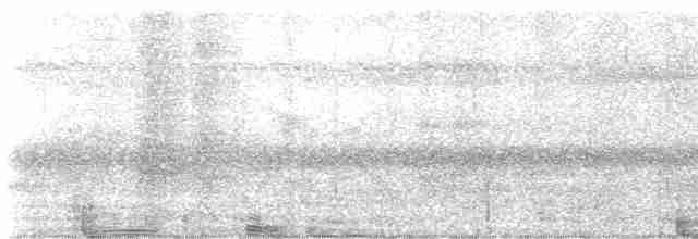 Gray-bellied Cuckoo - ML441872551