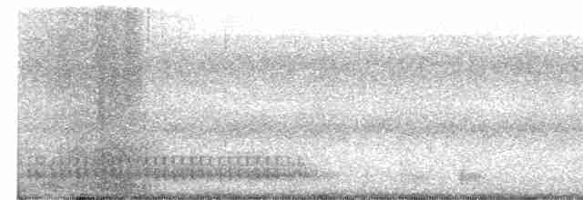 strakapoud osikový/americký - ML441883081