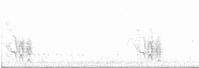 Gray-crowned Babbler - ML441886701