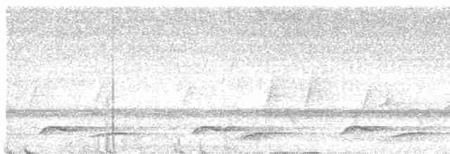 Белощёкая лесная куропатка - ML441896231