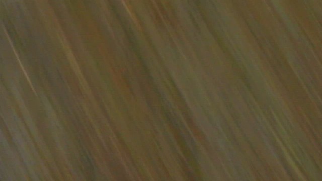 Kestane Karınlı Taşkızılı - ML441913301