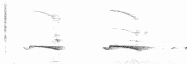 Gray-bellied Cuckoo - ML441922771