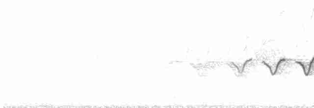 Cerulean Warbler - ML441968691
