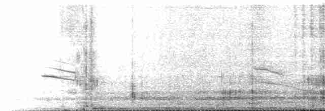 Пестрогорлая юхина - ML442005851