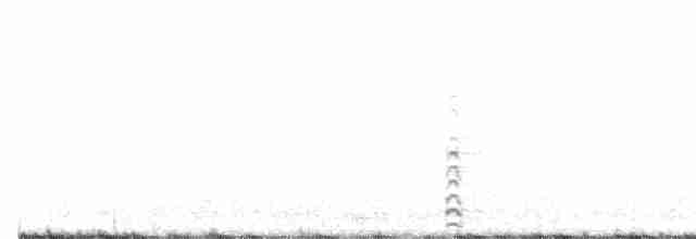 Common Gallinule - ML442122231