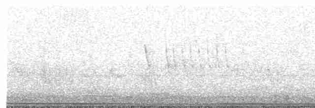 Віреон короткокрилий (підвид pusillus) - ML442378391