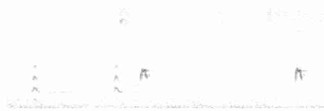 Kiefernkreuzschnabel - ML442405481