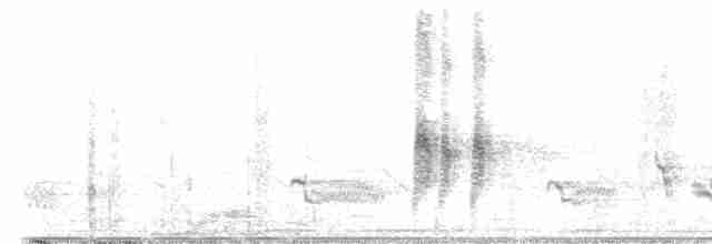 Antillennachtschwalbe - ML442415501