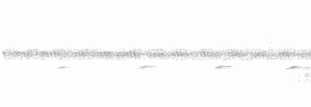 Western Orphean Warbler - ML442449341
