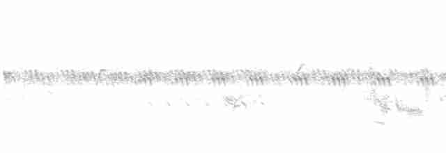 Western Orphean Warbler - ML442449591