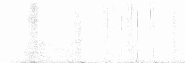 Горличка білолоба [група verreauxi] - ML442501271