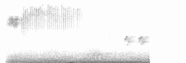 Голубокрылая червеедка - ML442524431